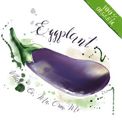 Watercolor organic health food for vegetarians and health care. Fresh raw eggplant
