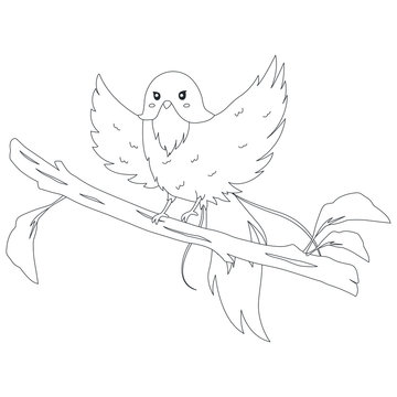 Bird of Indonesia coloring page. Cendrawasih Merah Bird (Red bird of paradise), perching on a tree branch with its wings spreading. Exotic Indonesian bird cartoon vector. Coloring page for kids.