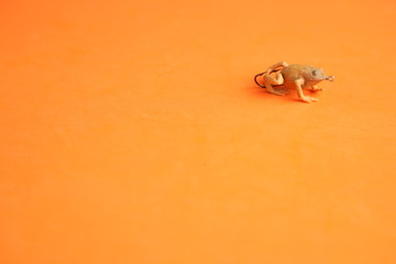 Saragossa Spain. September 18, 2019 fishing lures