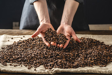 Hands holding fragrant coffee beans. A pile of roasted Arabica grains. Selection of fresh coffee...