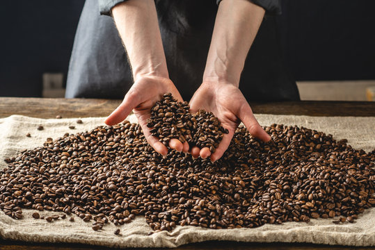 Hands holding fragrant coffee beans. A pile of roasted Arabica grains. Selection of fresh coffee for espresso