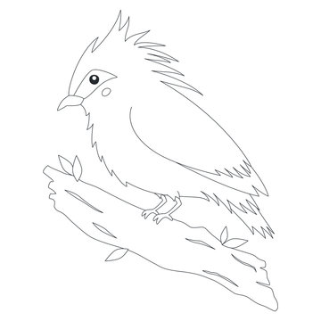 Bird of Indonesia coloring page, Jalak Bali bird (Bali Myna) perching on a tree branch. Exotic Indonesian bird cartoon vector. Coloring page for kids template.