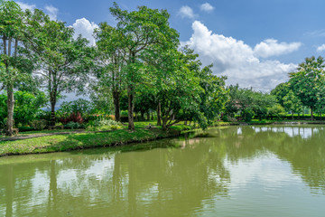 Fototapeta premium Garden with lake