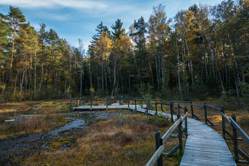 Wooden footbridge over the swamp in Celestynow, Masovia, Poland