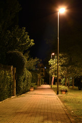 Night Garden with Path Near the Houses Illuminated by Lamp