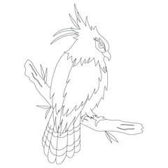 Bird of Indonesia coloring page, Elang Jawa bird (Javan hawk-eagle) perching on a tree branch. Exotic Indonesian bird cartoon vector. Coloring page for kids template.