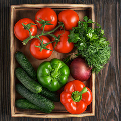 Fresh and juicy vegetables in a wooden box. Vegetable Salad Ingredients. Cucumbers, tomatoes, paprika, onions, herbs