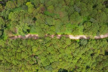 Aerial view of winding road with pine tree forest in mountain.Scenery Bird eye view of asphalt road landscape.High view from drone save drive transport and journey in countryside concept