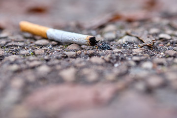 A thrown away used cigarette end with filter is lying on the ground on a footpath in winter. Seen...