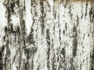 Cement wall texture background