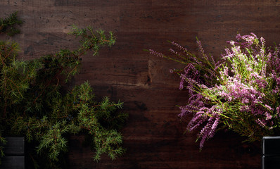 Blooming heather and juniper branch with berries on a  wooden background.