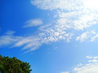 Obraz na płótnie Canvas blue sky with cloud background