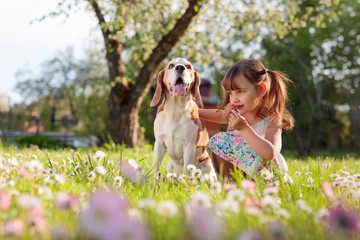 Happy little girl playing with dog in garden.