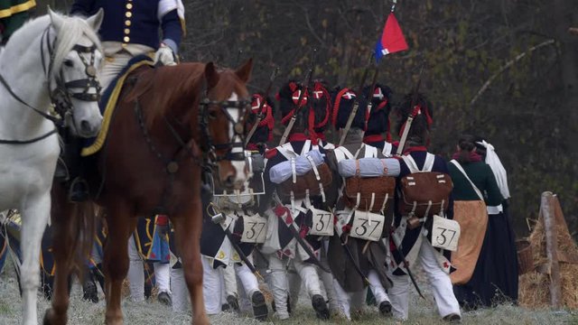 Horses in Napoleon army Grande Armee, Austerlitz