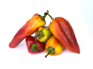 Red and yellow peppers on a white background