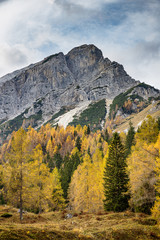 Colorful autumn forest in Slovenian Alps with huge rocky mountains in the background