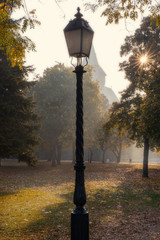 Street light and morning sun shining through the trees in Budapest city park in autumn season
