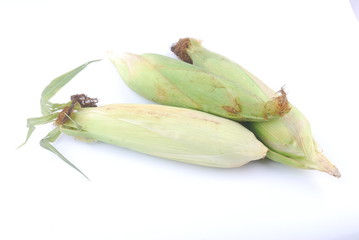 Fresh corn isolated on white background