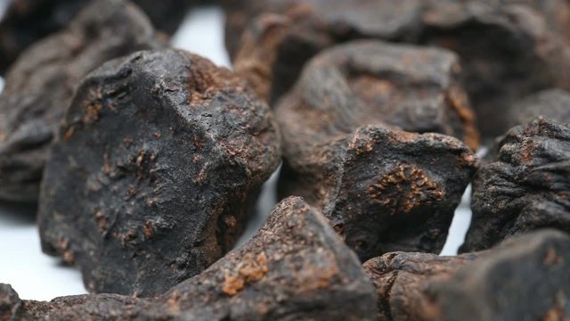 side view herb medicine ShouWu or Polygoni Multiflori Radix or Tuber Fleeceflower Root rotate and pause