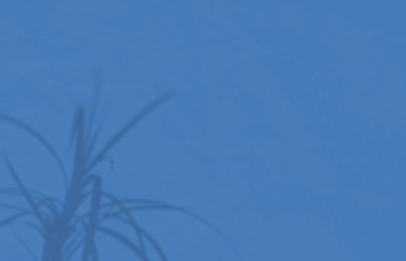 Summer background of shadows branch leaves on a wall. Color of the year 2020 classic blue