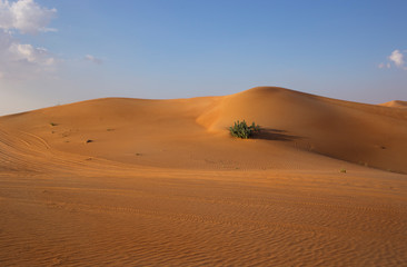 Fototapeta na wymiar sand texture in the desert of dubai in the evening