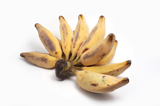 Silver Bluggoe, a local banana of Thailand