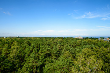 Obraz premium Beautiful view on Baltic sea and pine forest from the observation deck in Dzintari Park, Jurmala, Latvia