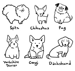 sketch of six breeds of cute small dogs, vector lineart