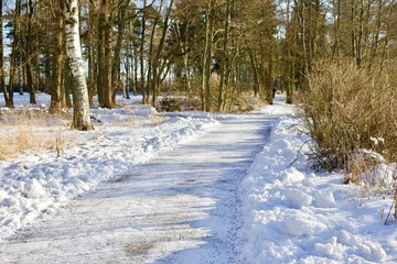 Ploughed Snow Path On a beautiful winter day