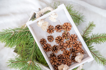 wooden box with pine branches and cones