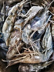 Fototapeta premium Raw shrimps in the pot for made Thai spicy soup. 