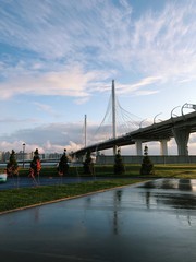  Bridge and the fresh weather