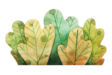 Obraz premium Watercolor cartoon bush illustration. Detailed hand drawn plants