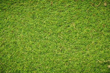 Artificial green grass texture can be use as background