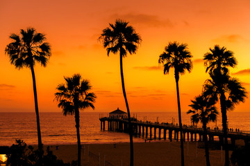 Fototapeta na wymiar The Palm trees and Manhattan Beach Pier at orange sunset, California 