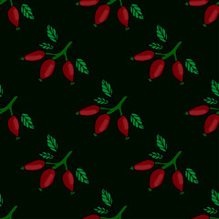 Cute seamless pattern.Rosehip berries icons on a beautiful background. Elements for your design. Hand drawn vector illustration.