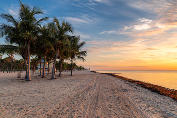 Palm trees on Miami Beach at sunrise, Florida.