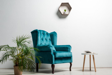 interior of room with elegant velour blue armchair near green plant and coffee table near white wall