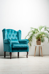 elegant velour blue armchair with pillow near green plant