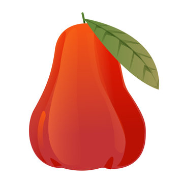 rose apple cartoon graphic cute isolated on white background