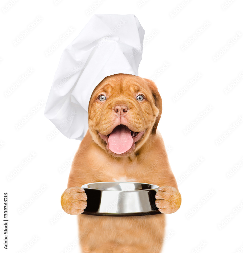 Poster happy puppy wearing a chef's cap holds empty bowl. isolated on white background