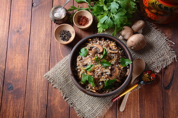 Buckwheat porridge with mushrooms in a bowl. Vegan , gluten-free. Russian or Ukranian cuisine. Healthy food concept