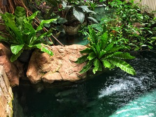 small waterfall in the forest