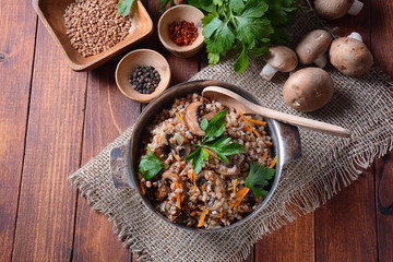 Buckwheat porridge with mushrooms in a bowl. Vegan , gluten-free. Russian or Ukranian cuisine. Healthy food concept