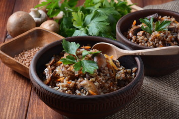 Buckwheat porridge with mushrooms in a bowl. Vegan , gluten-free. Russian or Ukranian cuisine. Healthy food concept