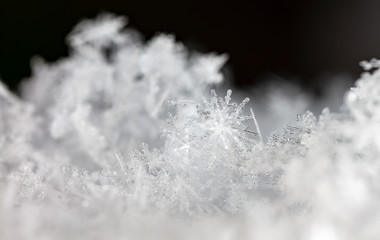 winter card, photo real snowflakes on snow