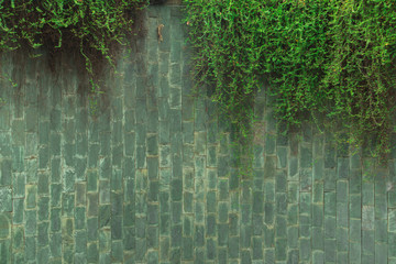 The green marble brick wall is an arched area and green ivy. Looks like an old wall background