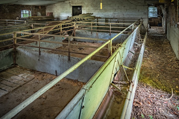Empty meat pig shed