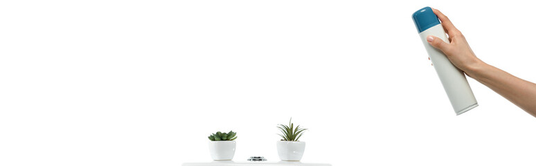 cropped view of woman spraying air freshener near ceramic clean toilet bowl with plants isolated on white, panoramic shot