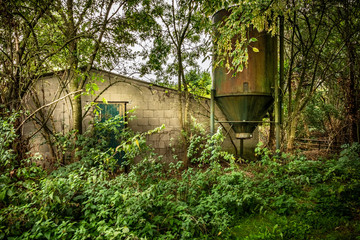 Ruin of empty sow barn with silo.
